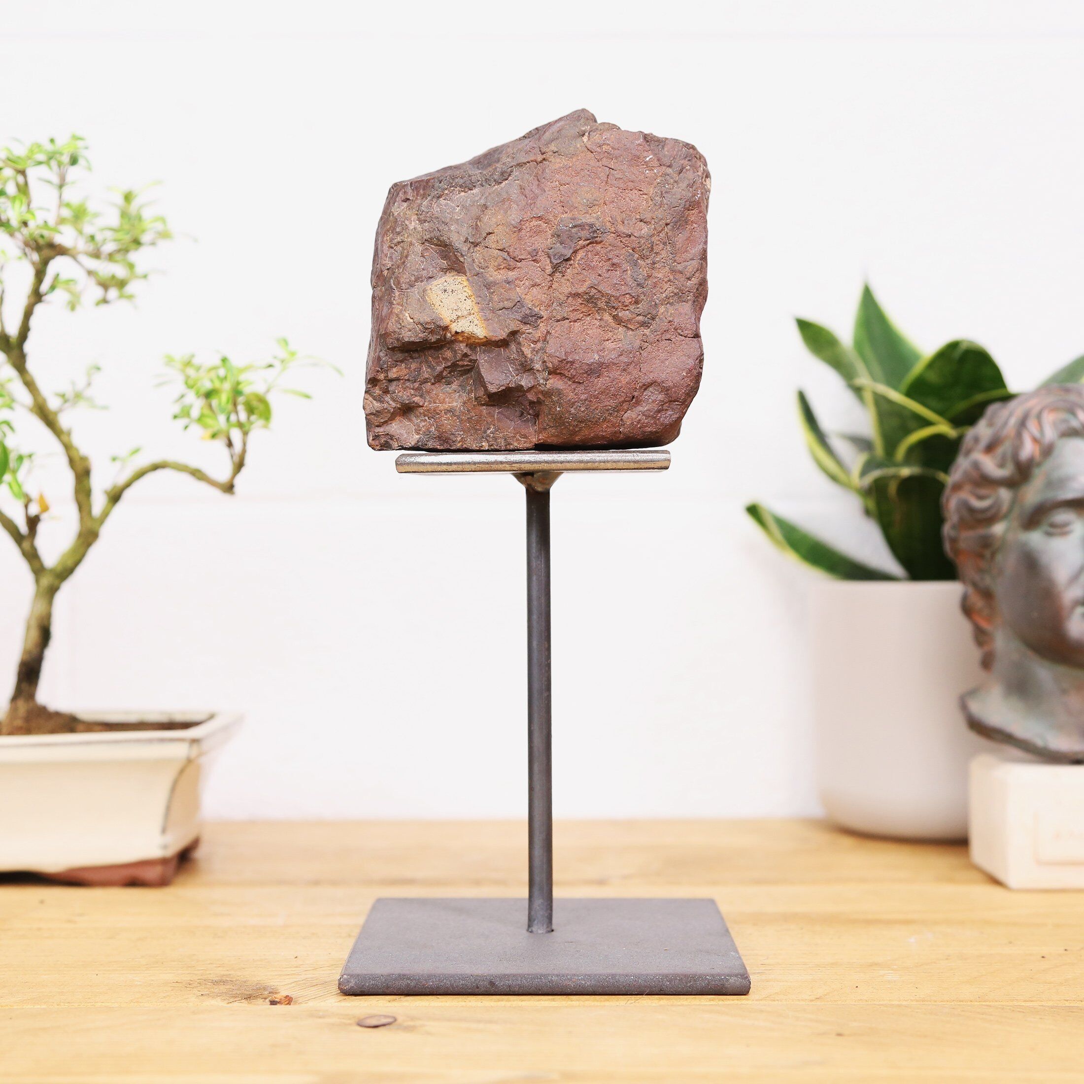 Chondrite Meteorite XL Stand