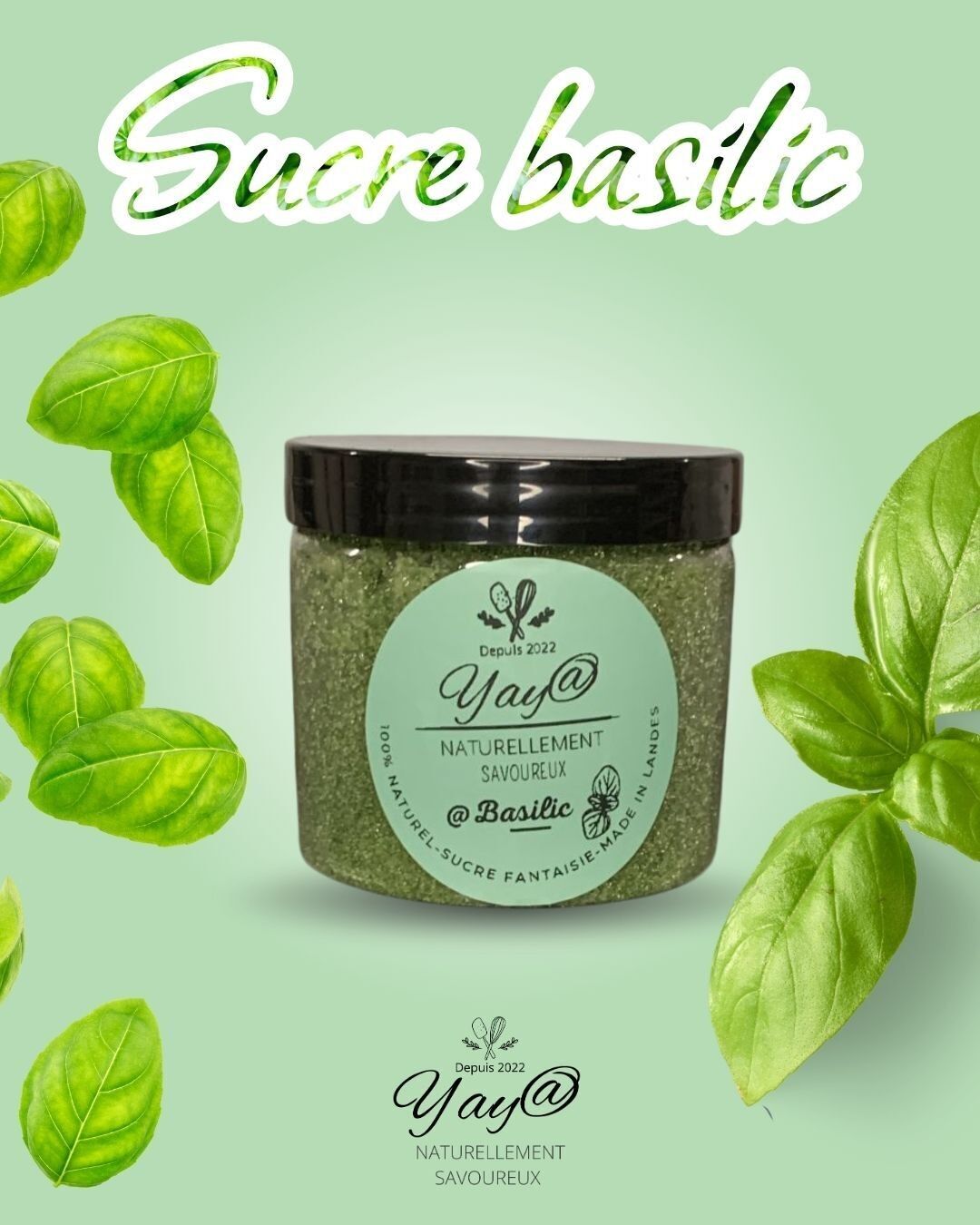 Zucchero al basilico - barattolo da 200 g - Yaya naturalmente delizioso