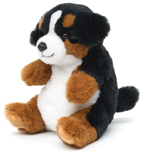 Berner Sennenhund, sitzend - Kawaii-Stil - 17 cm (Höhe) - Keywords: Hund, Haustier, Plüsch, Plüschtier, Stofftier, Kuscheltier