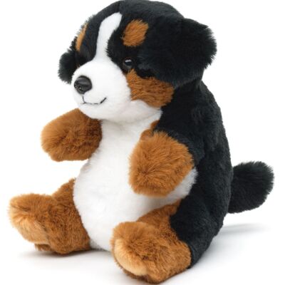 Berner Sennenhund, sitzend - Kawaii-Stil - 17 cm (Höhe) - Keywords: Hund, Haustier, Plüsch, Plüschtier, Stofftier, Kuscheltier