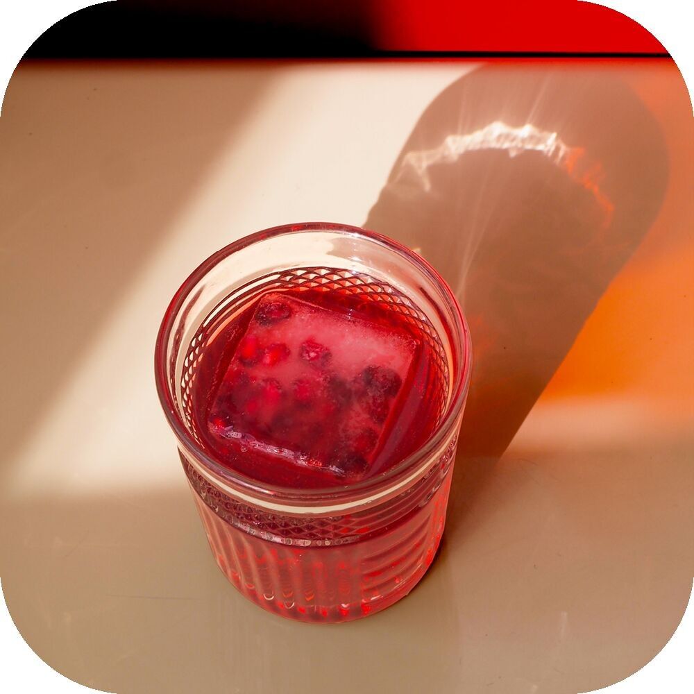 JUSTE LE CHOIX DU FRUIT - NECTAR DE CRANBERRY 25 CL X 12