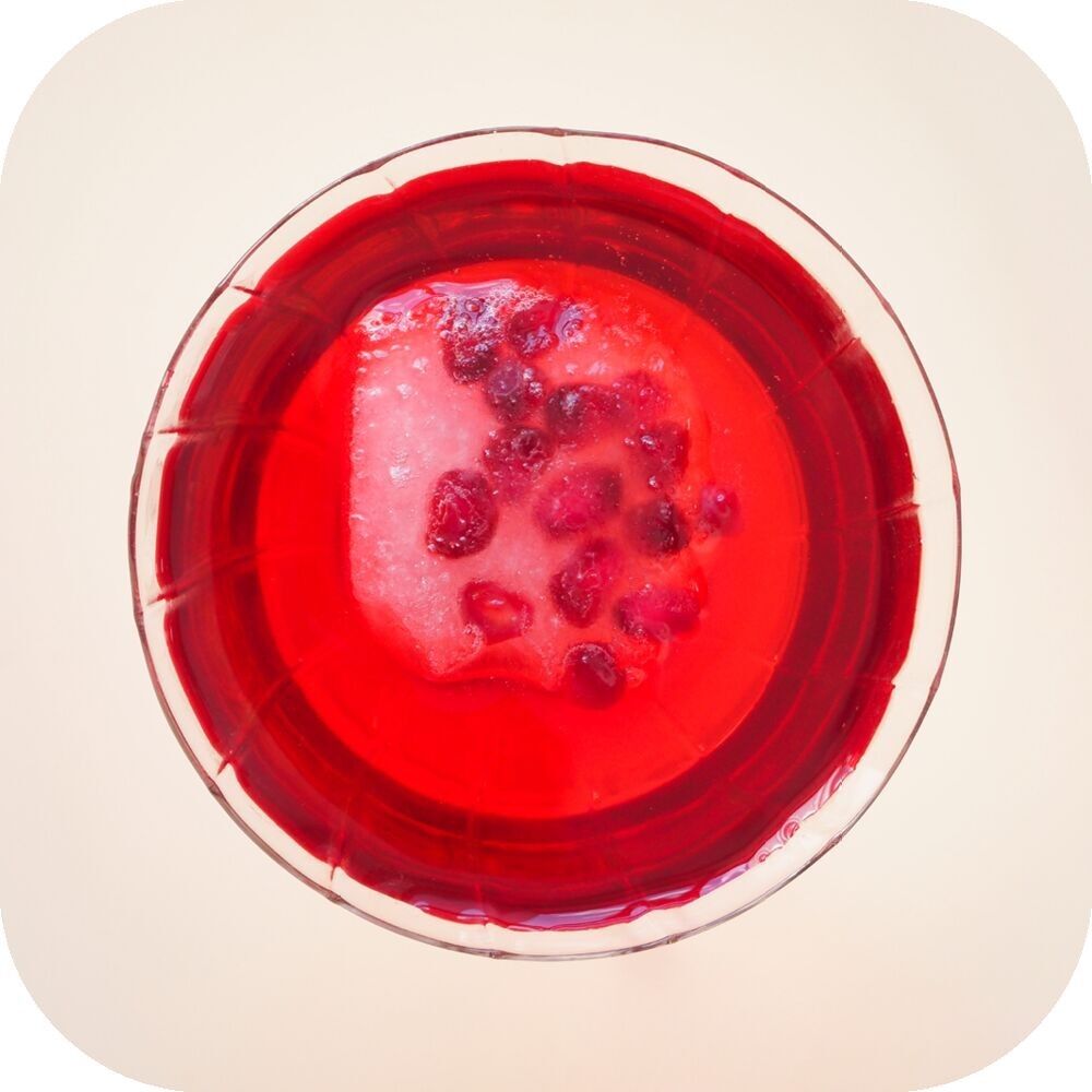 JUSTE LE CHOIX DU FRUIT - NECTAR DE CRANBERRY 25 CL X 12