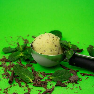Mint chocolate sorbet - 2,5L