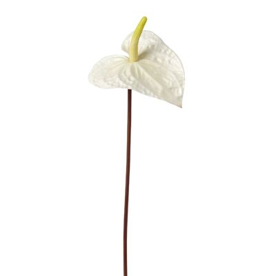 Paleta de pintores de tallos de Anthurium