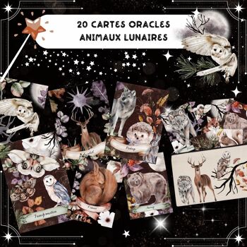 20 cartes Oracle des Animaux Lunaires 2