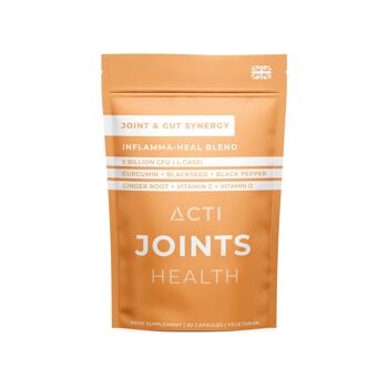 ACTI JOINTS SYNERGIE ARTICULAIRES ET INTESTINALES