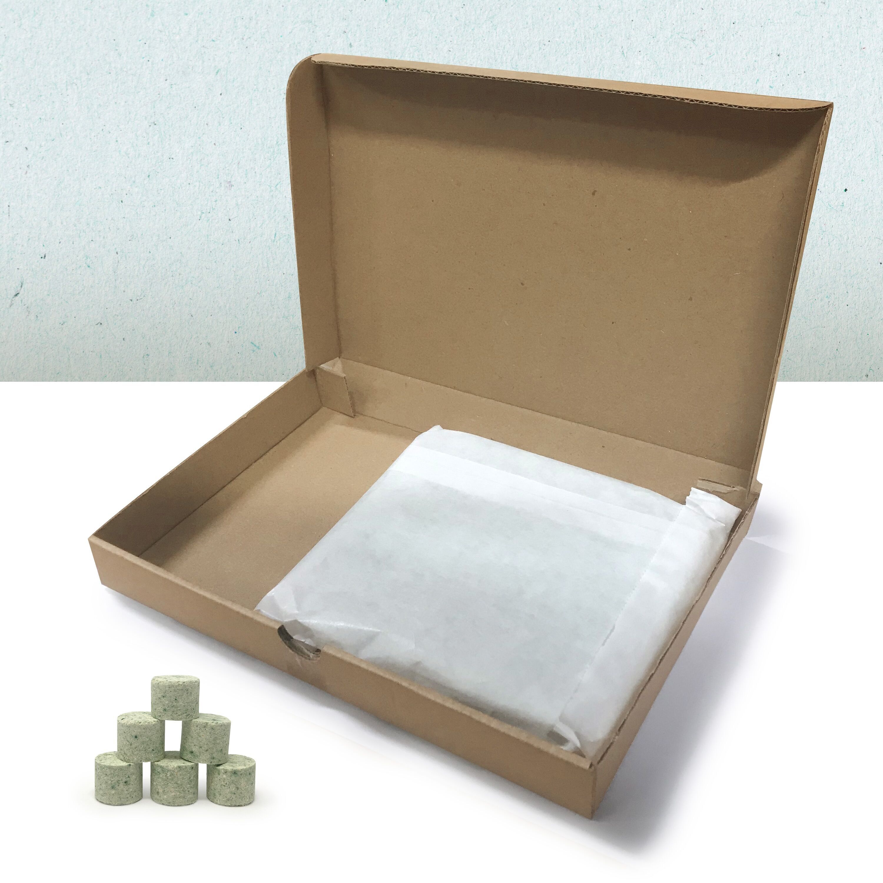 Pachamamaï™ - Minty - Ricarica di dentifricio dissolvente alla menta - Confezione da 72 bastoncini da 2,5 g