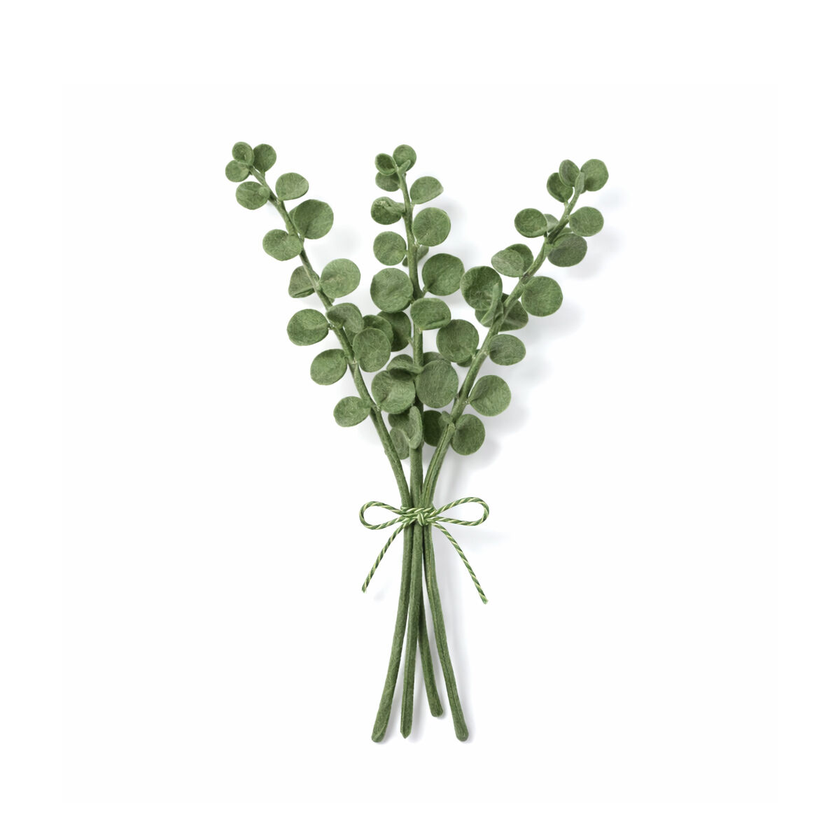 Eukalyptus (6E-EUC)