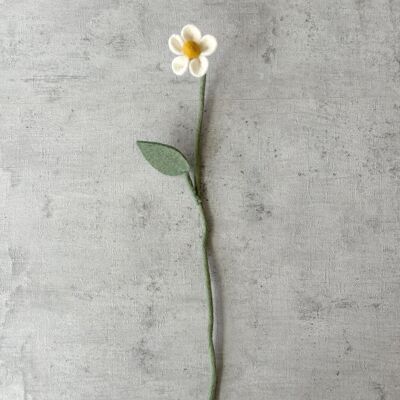 Marguerite blanche (11E-DAISY-WHTE)
