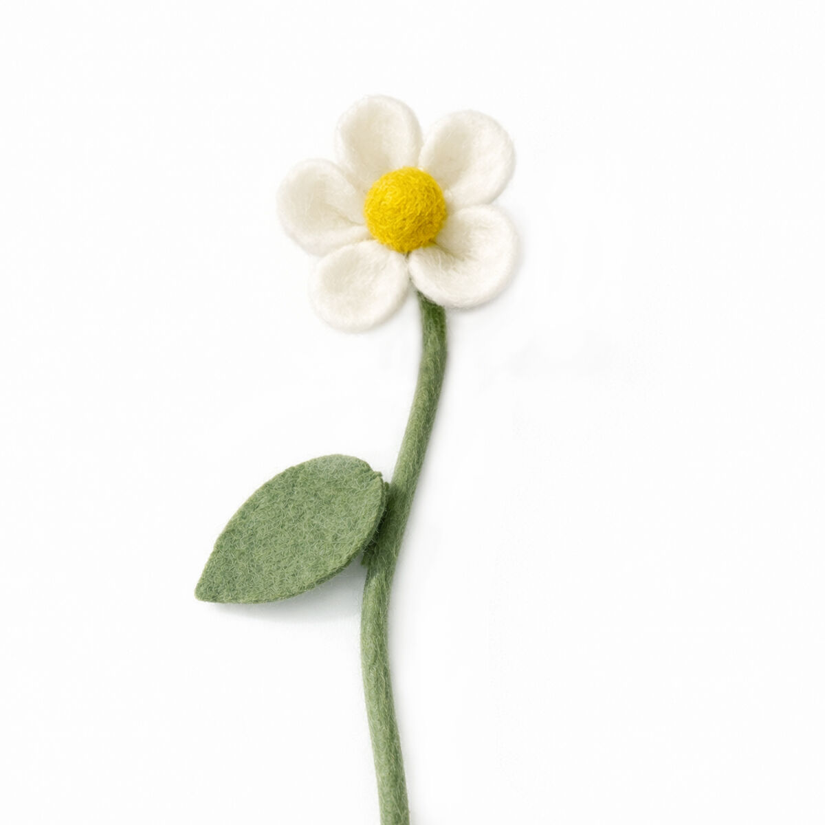 Gänseblümchen weiß (11E-DAISY-WHTE)