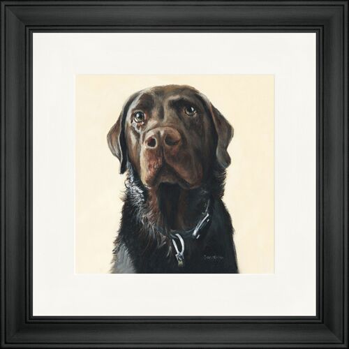 Amos Square Framed Print