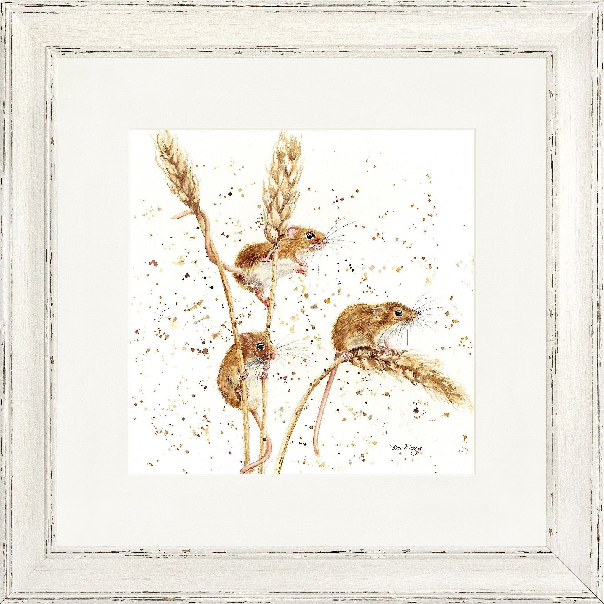 Stampa incorniciata quadrata The Grain Gang