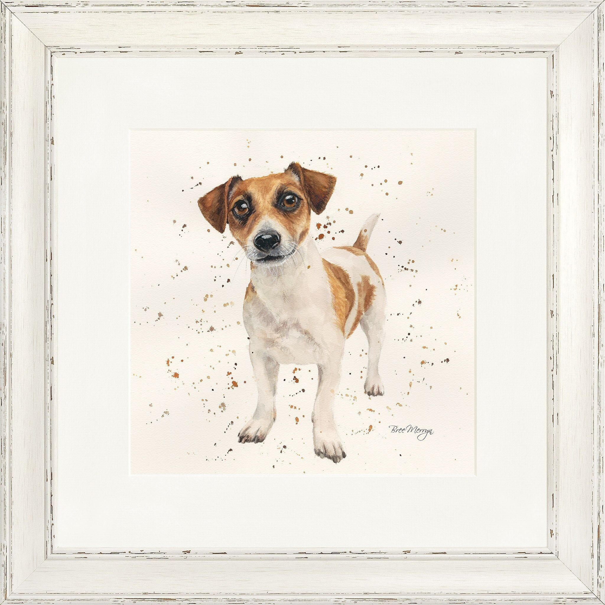 Joey Square Framed Print