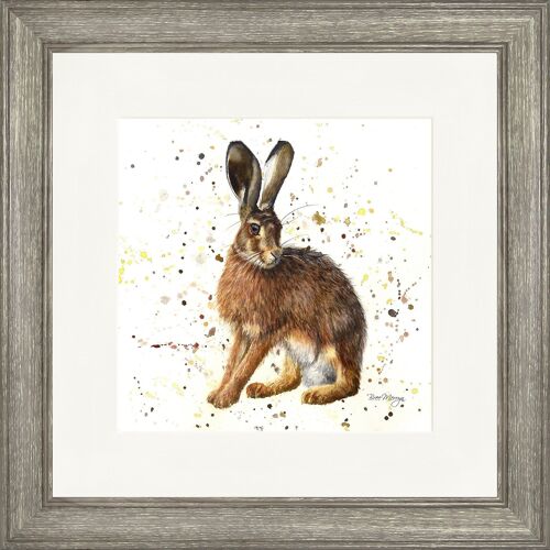 Hardy Square Framed Print