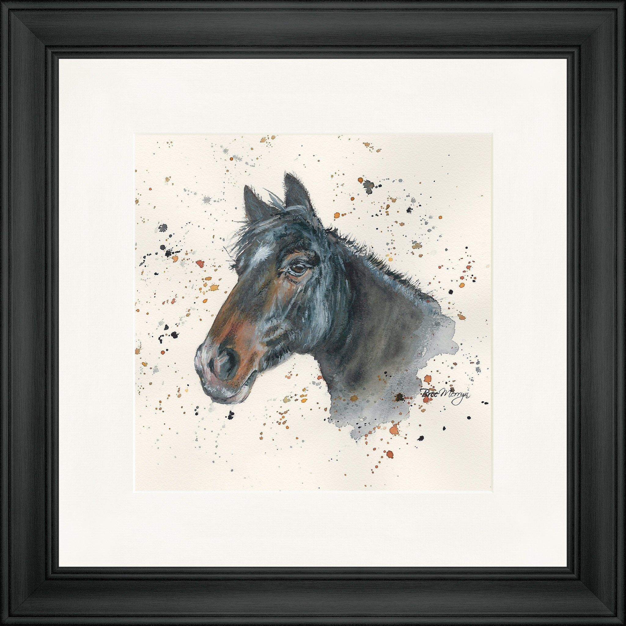 Stampa incorniciata quadrata Falcon