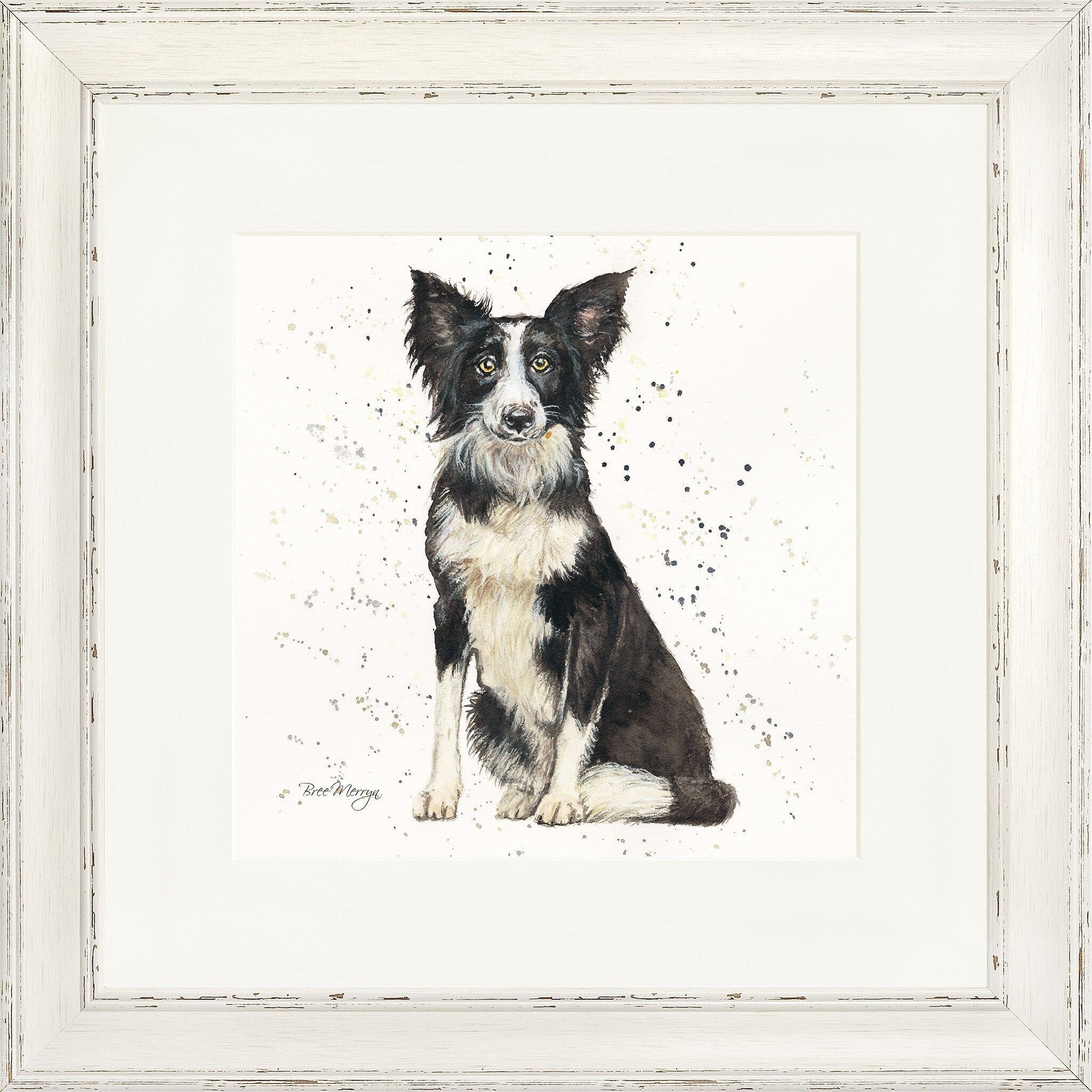 Chief Square Framed Print