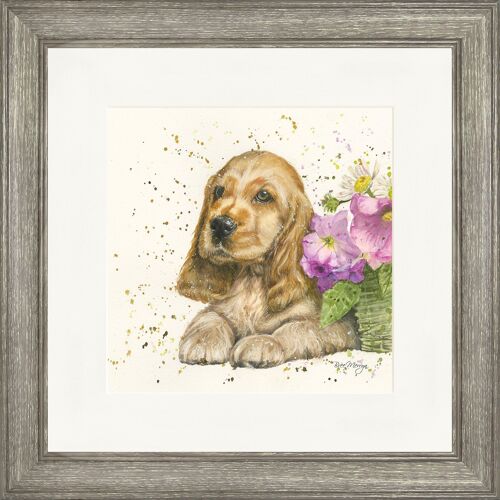 Cody Square Framed Print
