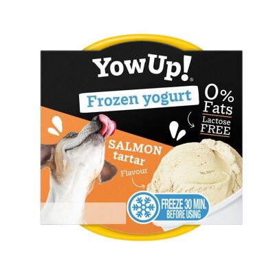 Eh sì! Yogurt gelato - Tartare di salmone