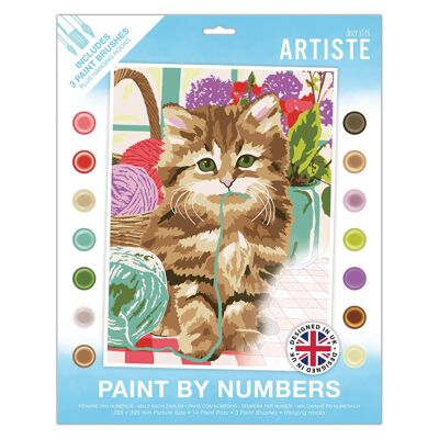 Artiste Acrylic Paint By Numbers Art Set - Cute Kitten - 14 Different Colour Paints, 3 Brushes, Ideal DIY Craft For Adults Or Older Kid, Brush A Masterpiece Art Work