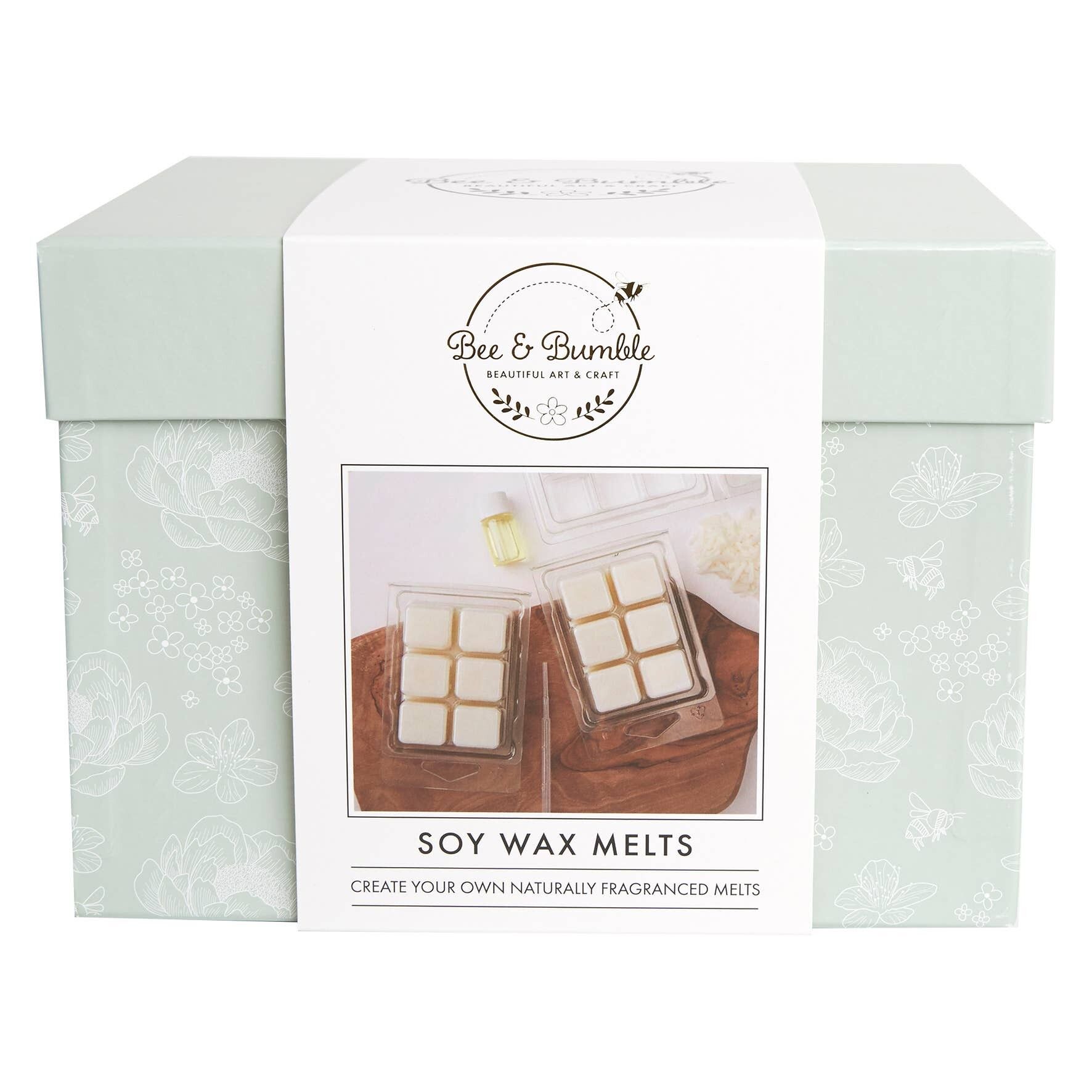 Bee & Bumble Faites vos propres fondants de cire de soja, ensemble de 3, 300g de cire, ensemble de kit d’artisanat, bricolage, art et artisanat, cire, cadeau unique