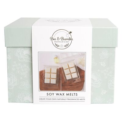 Bee & Bumble haga sus propios derretimientos de cera de soja, juego de 3, cera de 300 g, juego de kit de artesanía, bricolaje, arte y manualidades, cera, regalo único