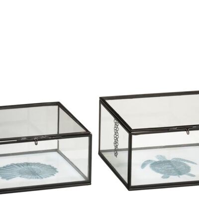 Set de 2 caja tortuga/concha metal/cristal blanco/negro/azul
