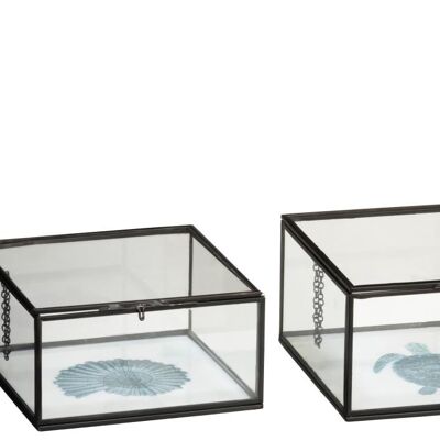Set de 2 caja tortuga/concha metal/cristal blanco/negro/azul