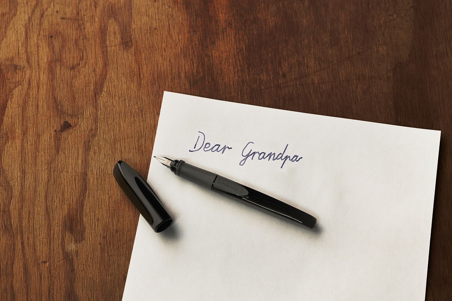 Schneider Ray Stylo Plume (cartiglio d'encre standard bleu royal incluso)