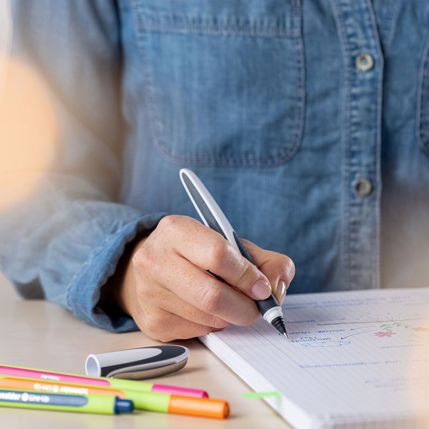 Schneider Ray Stylo Roller (ricaricabile con cartouches d'encre standard, comodo aux droitiers et gauchers)