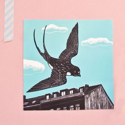 Postcard | swallow