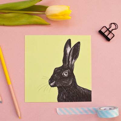 Postcard | Rabbit