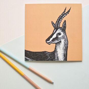 Carte postale | gazelle 1