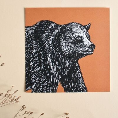 Cartolina | orso
