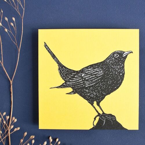 Postkarte | Amsel