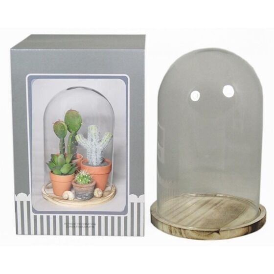 DOME EN VERRE SUR PLATEAU EN BOIS DANS BOITE ILLUSTREE