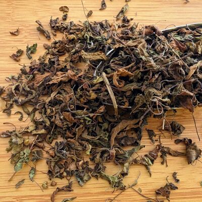 Pianta medicinale Tulsi 200g