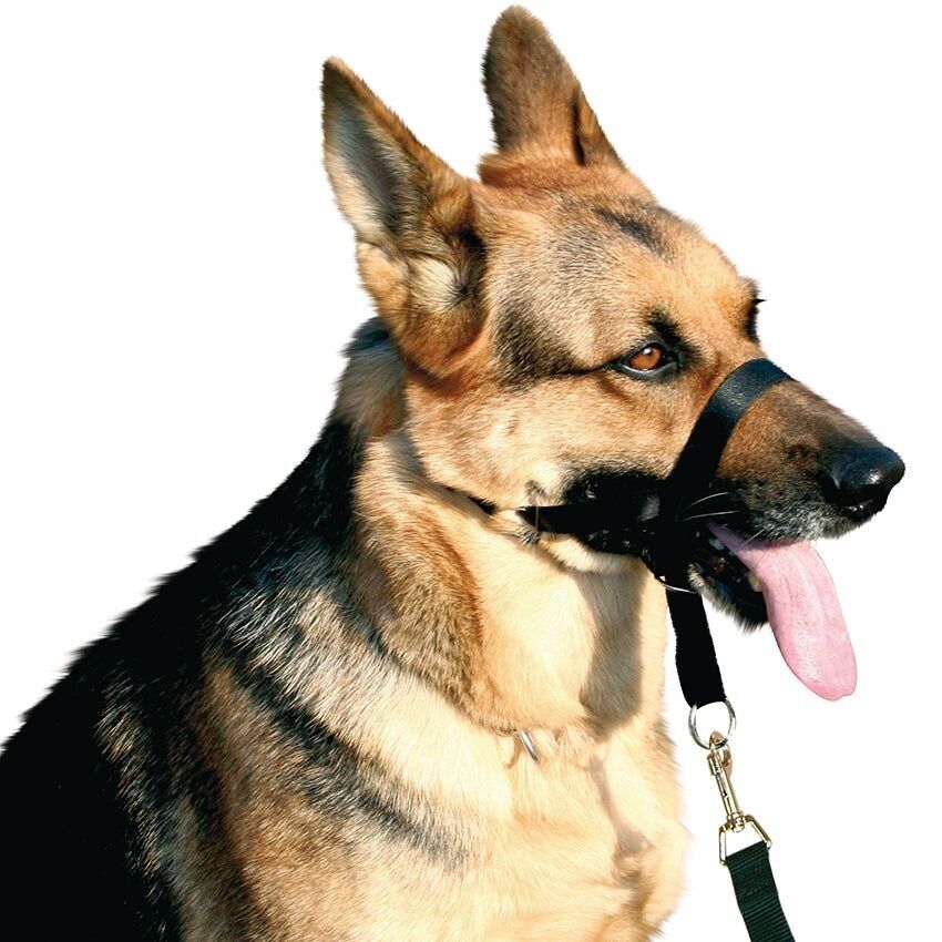 Nylon dog training muzzle