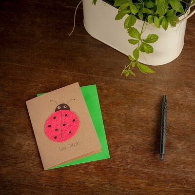 Greeting card - good luck - ladybug