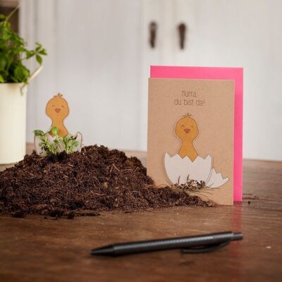 Seed plug card - hooray, you're there - chick