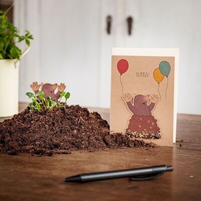 Seed plug card - hooray - mole