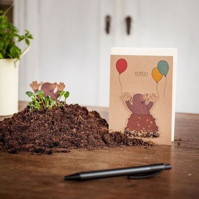 Scheda spina seme - Evviva - Mole