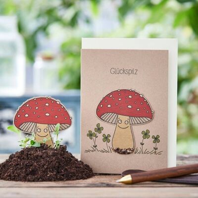 Seed plug card - ragazzo fortunato