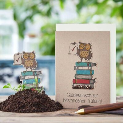 Seed plug card - congratulations on passing the exam