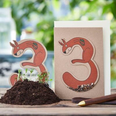 Seed plug card - three