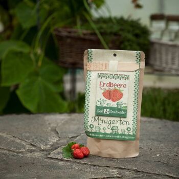 Mini jardin - fraise "Tubby Red" 2