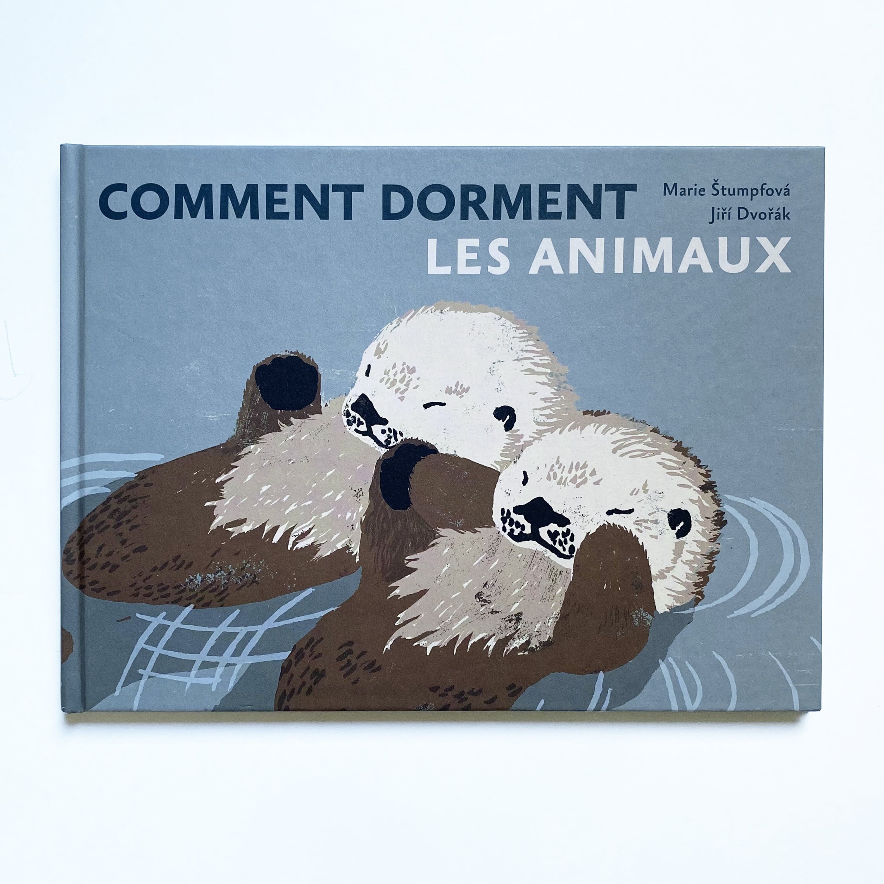 Wie Tiere schlafen / Jugenddokumentation / Natur