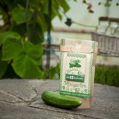 Mini Garden - Cucumber #seeds