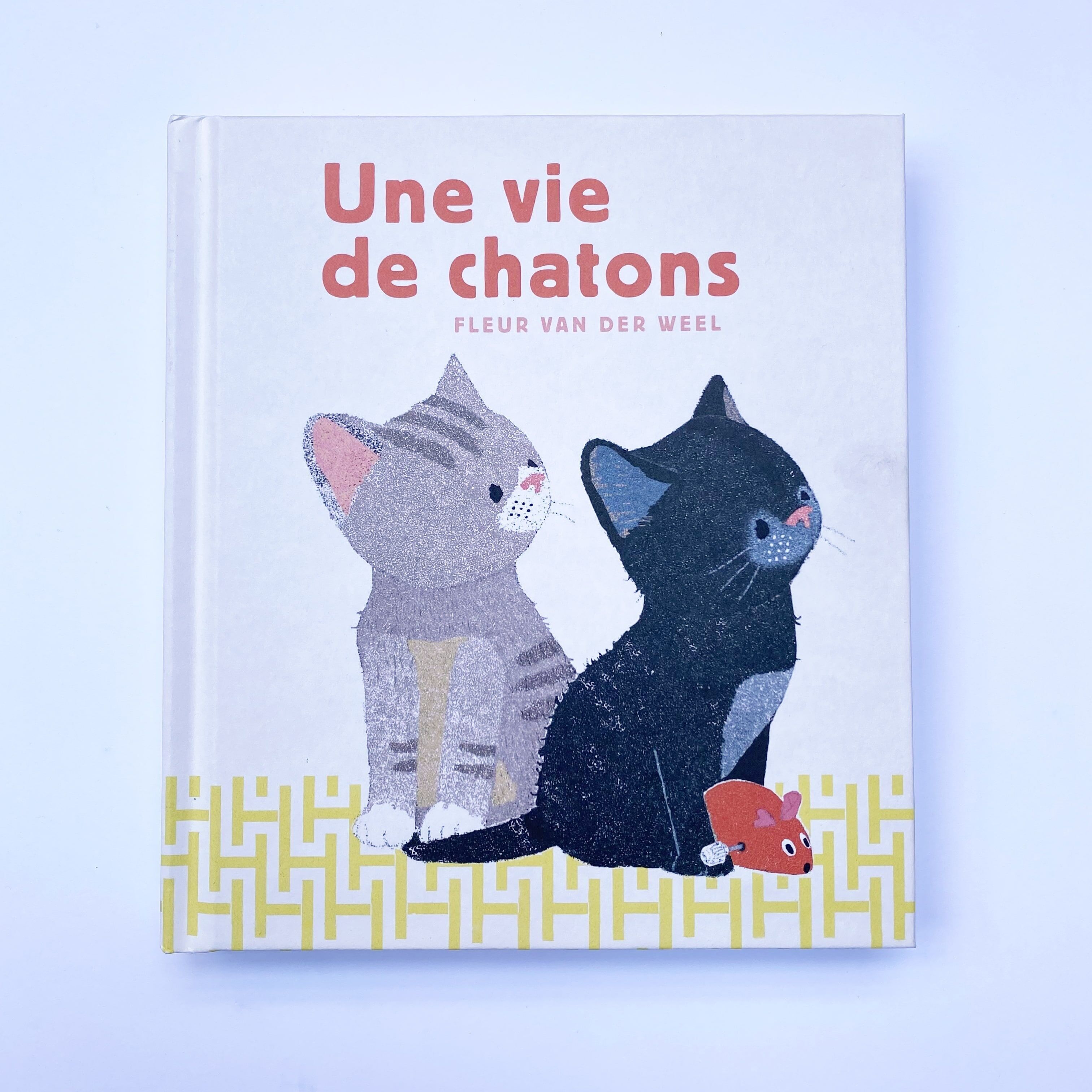 Ein Leben voller Kätzchen / Frühe Kindheit / Alltag / Bruder-Schwester-Komplizenschaft