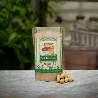 Mini garden - peanut