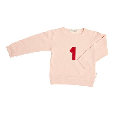 Sweater 1 Pink